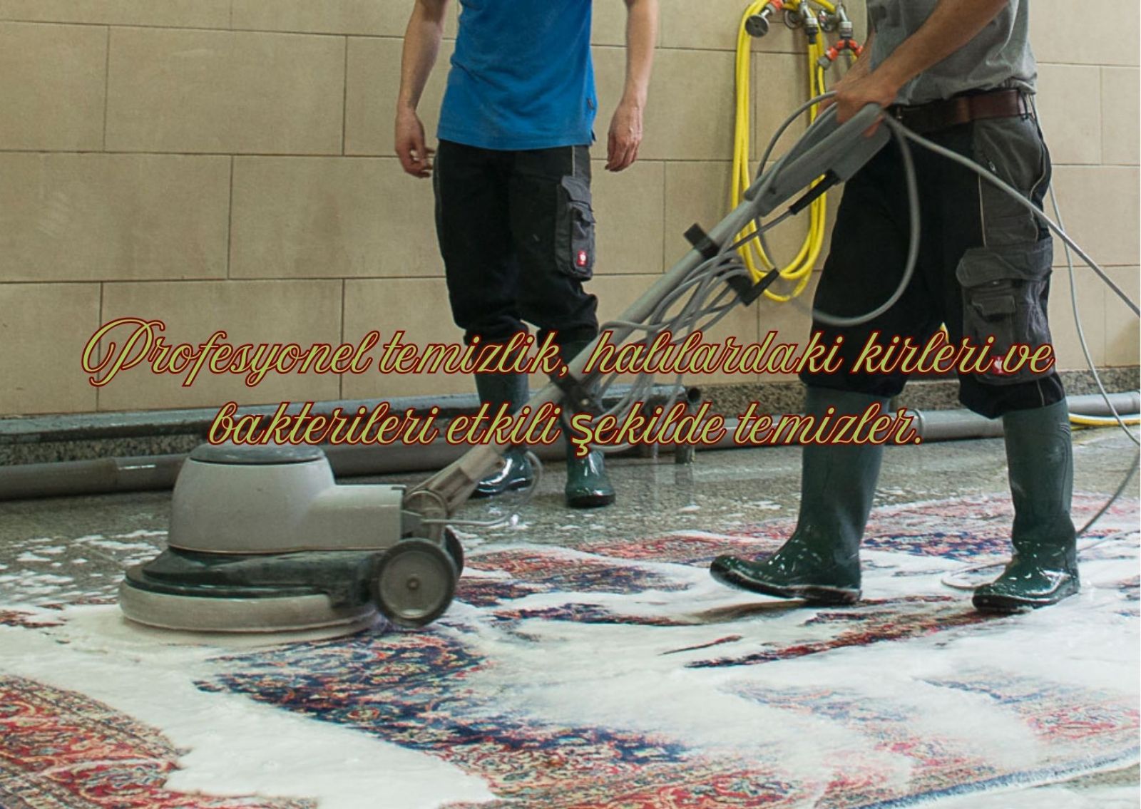 Gebze Halı Yıkama Firmaları